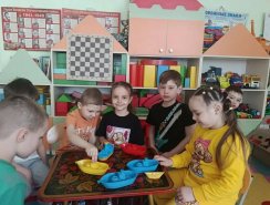 img (5)
